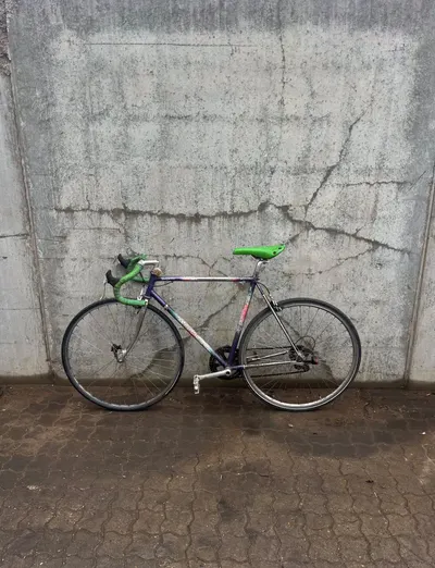 Albuch Retrocykel