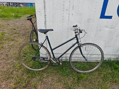 Raleigh Damecykel